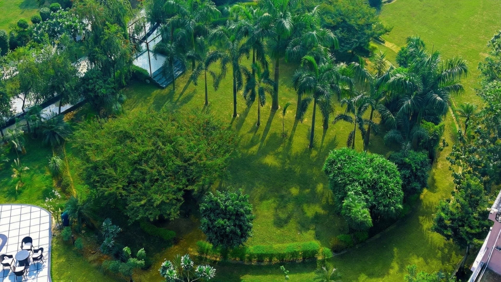Palm Garden - 2 gallery image
