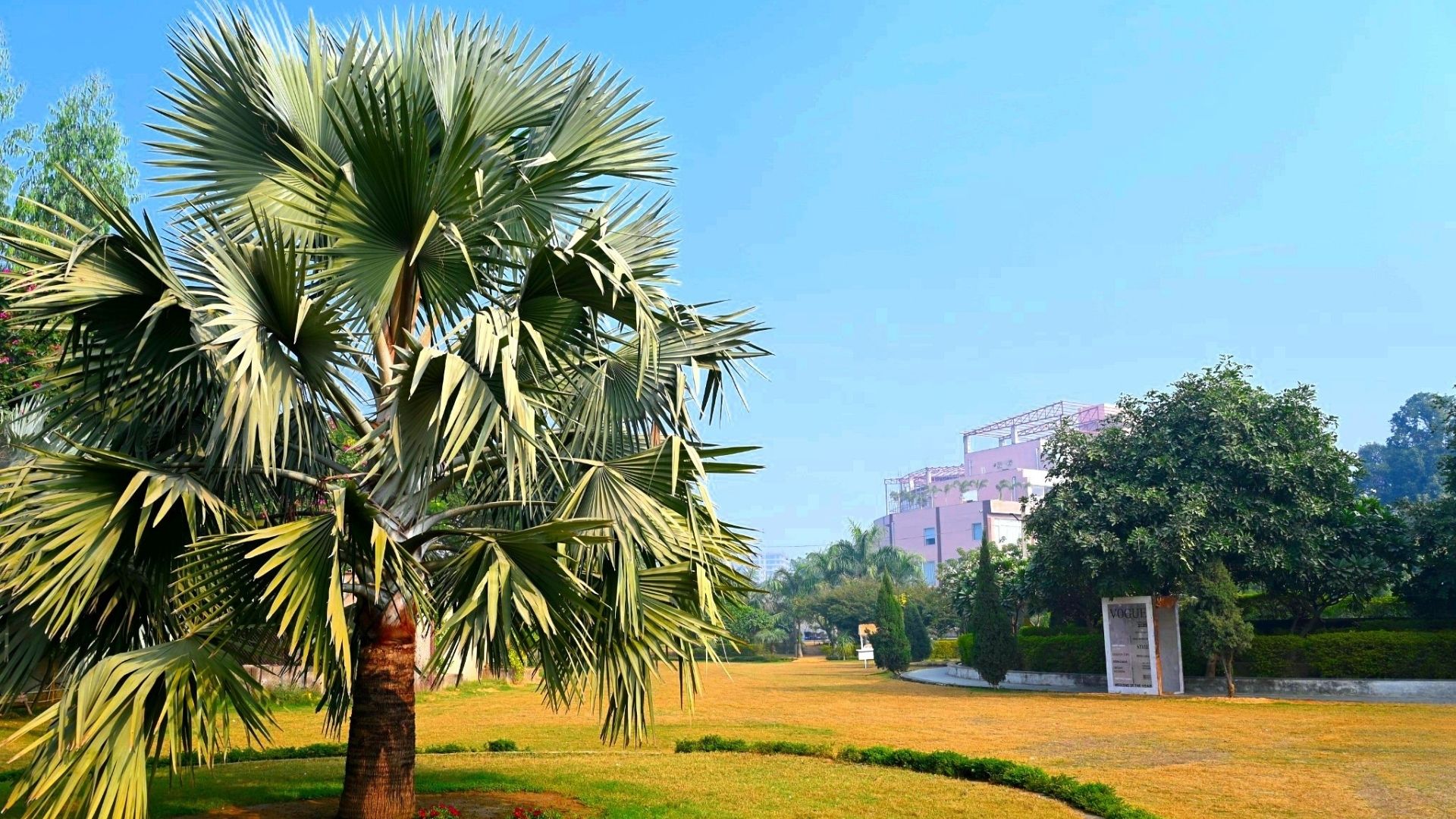 Palm Garden gallery image