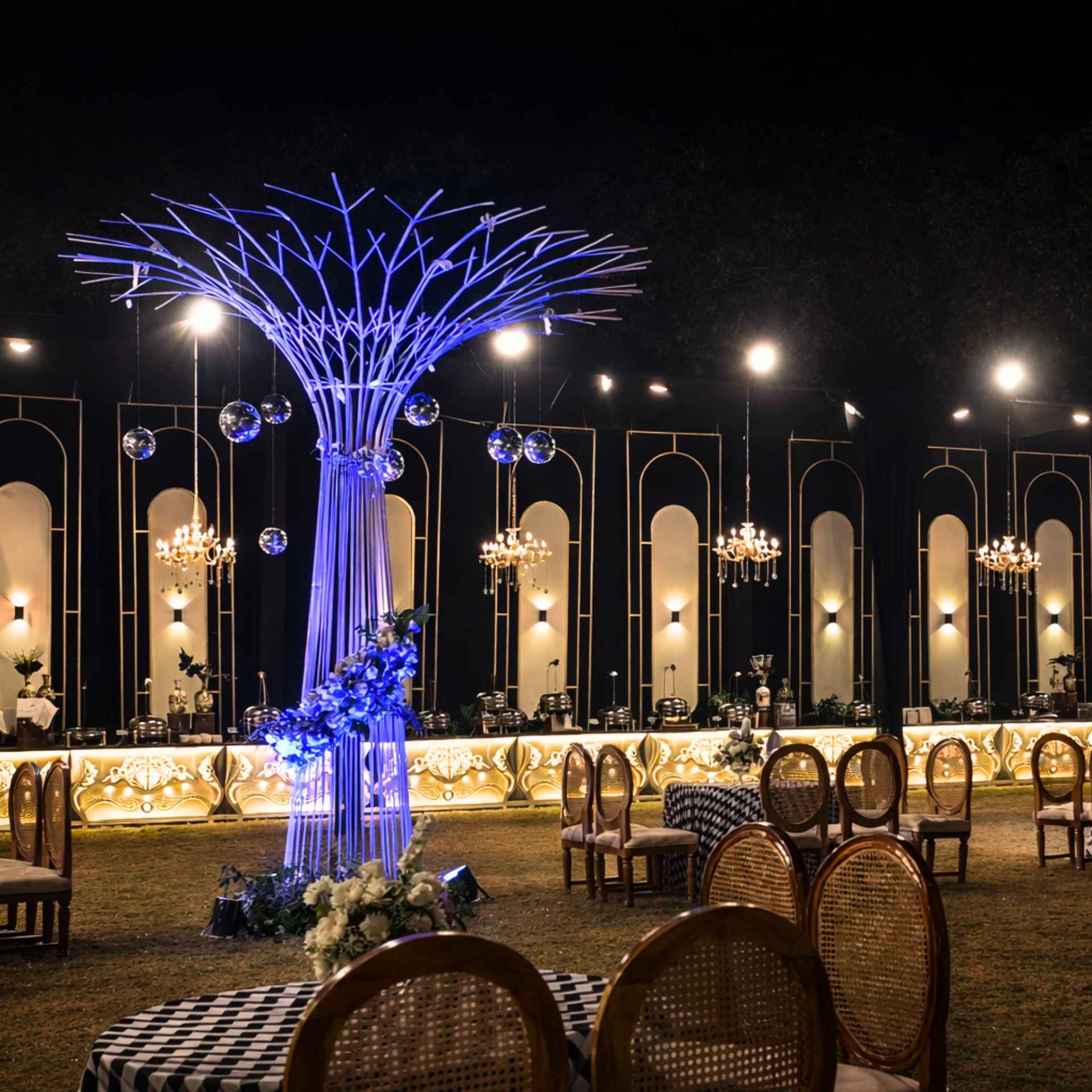 Anuradha gallery image