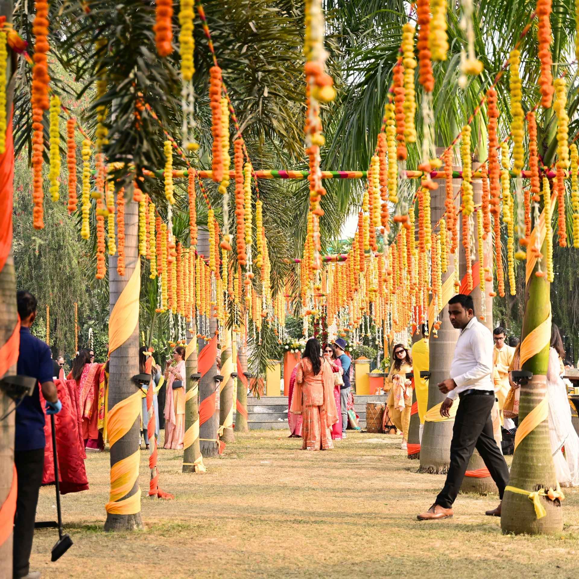 Palm Garden - 3 gallery image