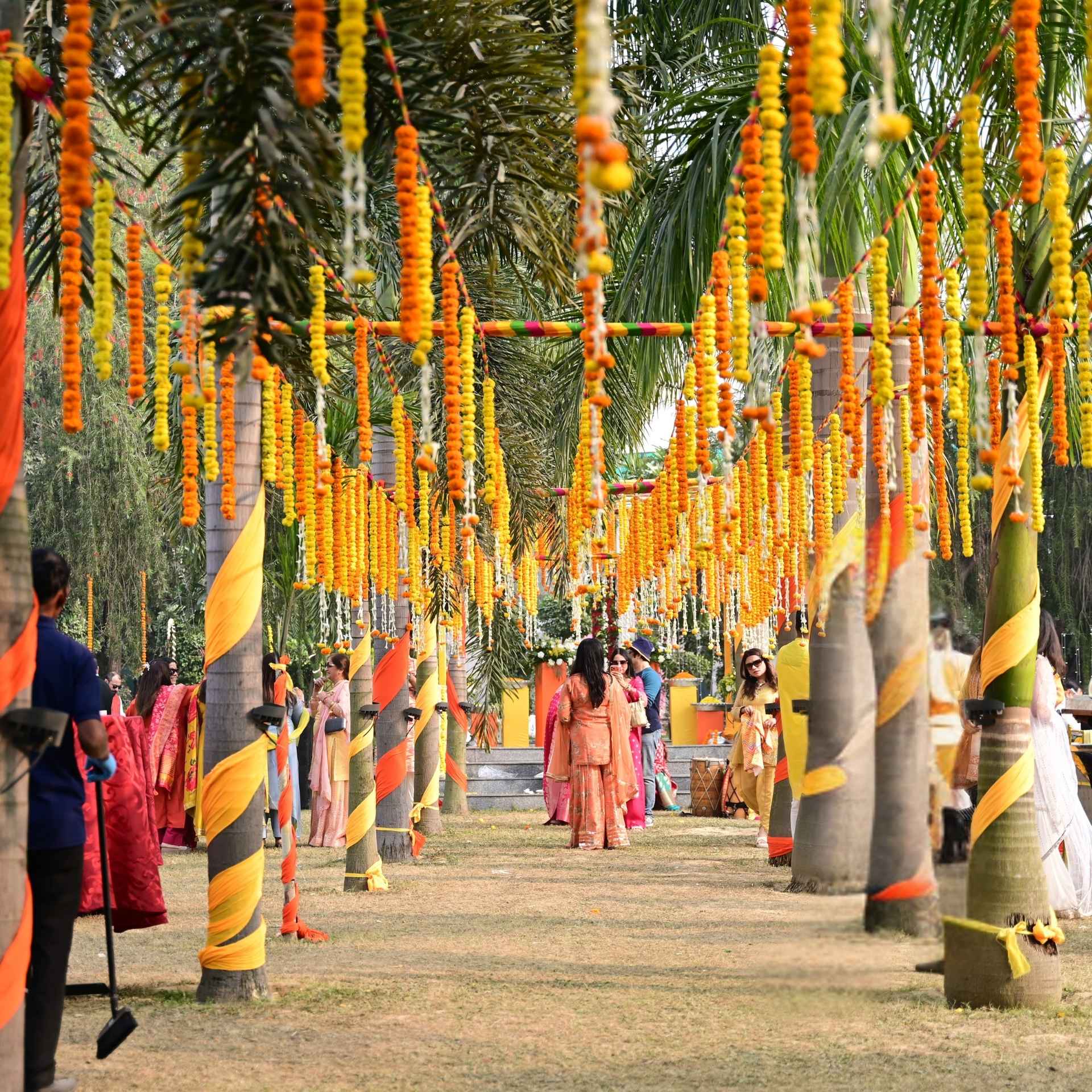 View of Palm Garden space